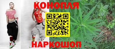 сатива Гусев
