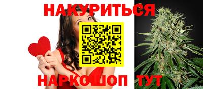 сатива Гусь-Хрустальный