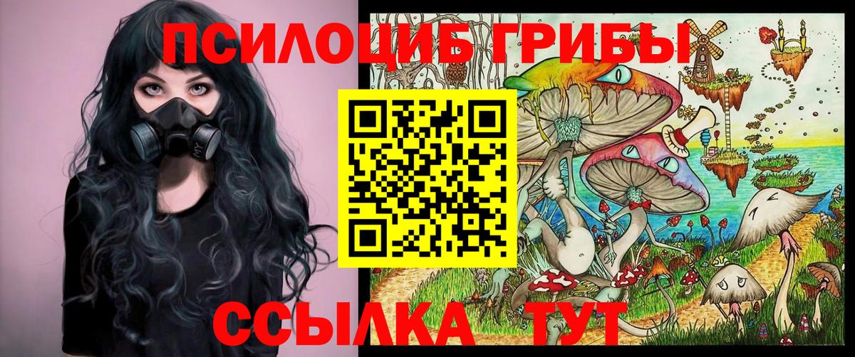 Галлюциногенные грибы Psilocybine cubensis  Вход с VPN  Карабулак  Галлюциногенные грибы ЛСД 