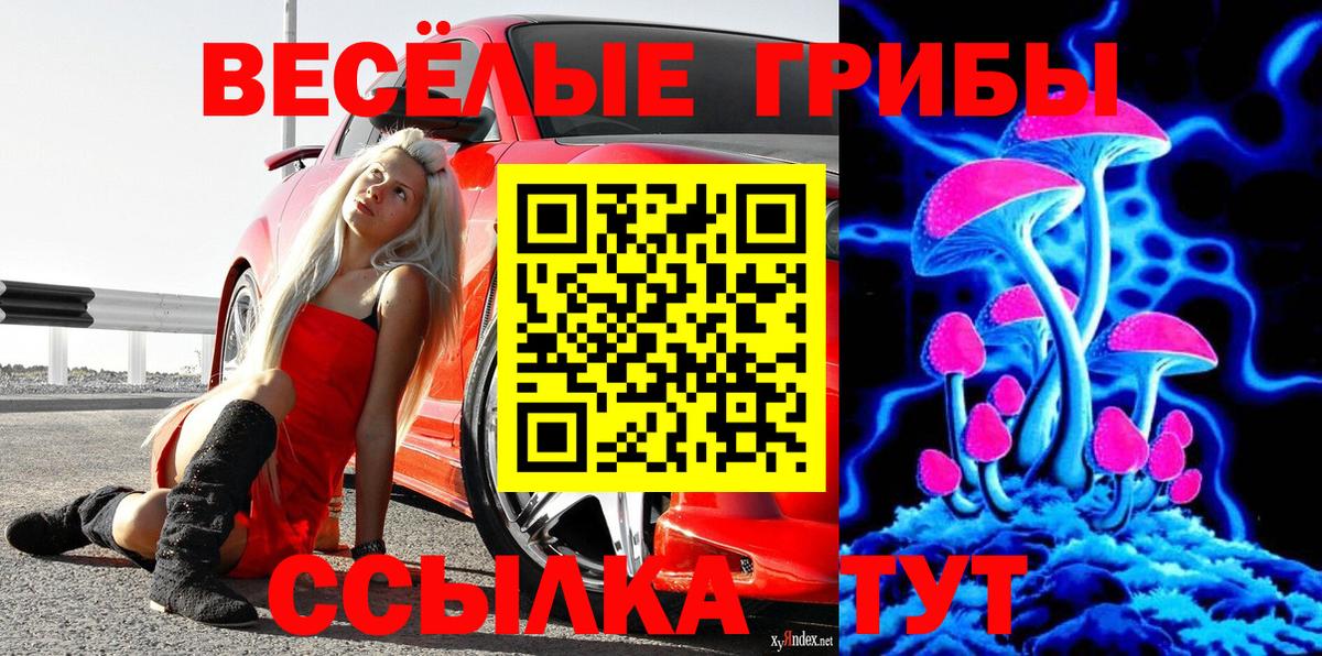 Псилоцибиновые грибы ЛСД Карабулак